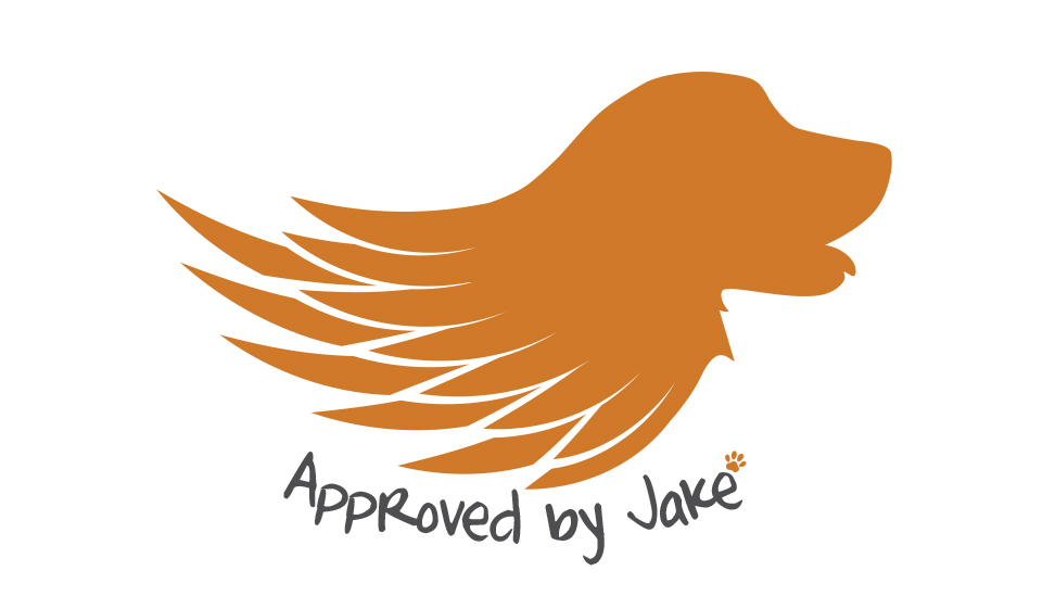 non-profit logo design in austin tx by saba graphix logo designer